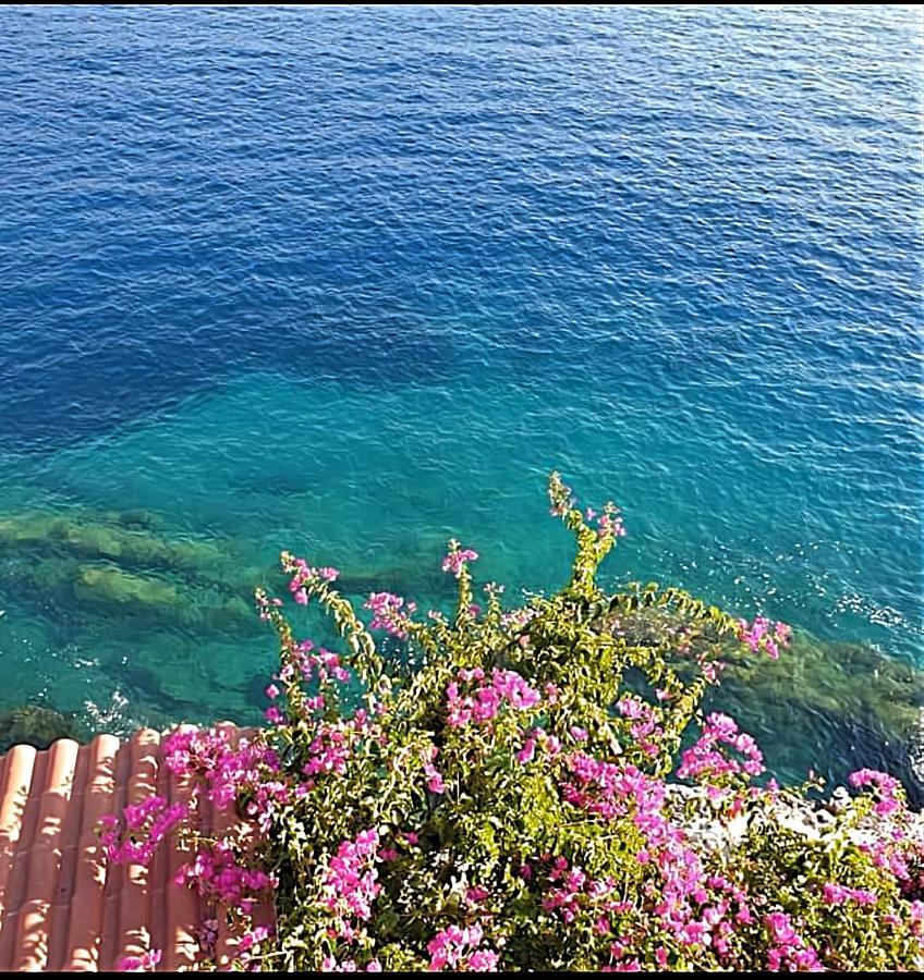 Paradise View 阿索斯 外观 照片